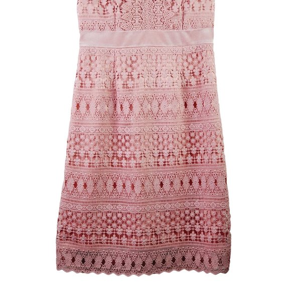 Rachel Parcell Lace Bodice, Velvet Waist Lined Midi Pencil Dress, Pink Bride, S - Picture 7 of 10